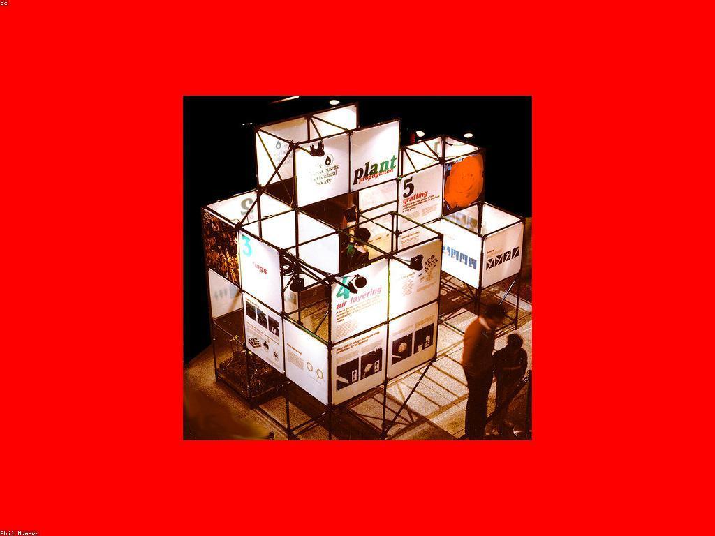 យុទ្ធសាស្ត្រស្លតដ៏មានប្រសិទ្ធភាពសម្រាប់អ្នកជួញដូរ